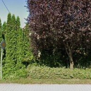 obrazek: avatar BREAD. & EDIBLE LABELS s.r.o.