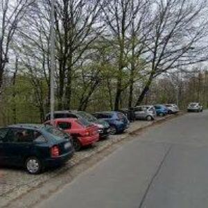 obrazek: avatar TK DOMINO ORLOVÁ z.s.