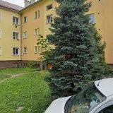 MEZINÁRODNÍ ŠACHOVÁ ŠKOLA INTERCHESS