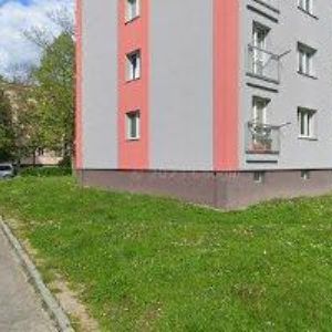 obrazek: avatar AUGUSTA PETR-ROZA