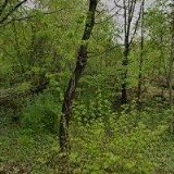 EDWILAN spol. s r.o.