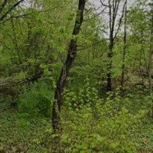 obrazek: avatar EDWILAN spol. s r.o.