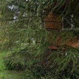 FBC BAZINGA OSTRAVA, z. s.