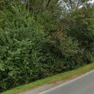 obrazek: avatar TJ SOKOL Svinov