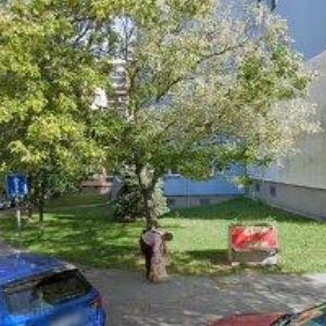 obrazek: avatar KLUB DRÁHOVÉHO GOLFU 2000 OSTRAVA