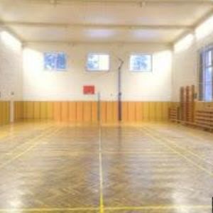 obrazek: avatar TJ SOKOL Frýdlant nad Ostravicí