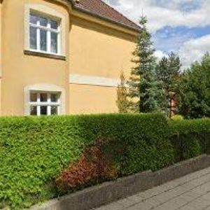 obrazek: avatar TJ SOKOL Opava