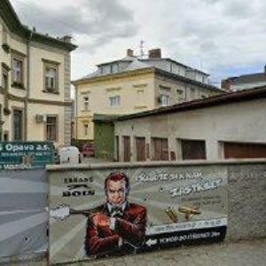 obrazek: avatar TJ HORAL Opava, z.s.