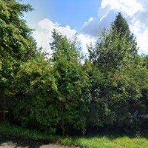 obrazek: avatar DUET ART.CZ