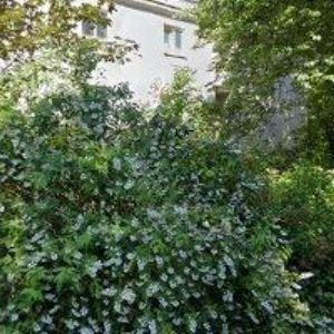 obrazek: avatar ELCOMPANY