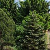 OREL JEDNOTA Mořkov