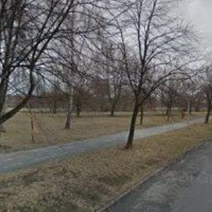 obrazek: avatar SDRUŽENÍ ÚPOLOVÝCH SPORTŮ z.s.