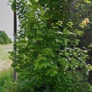 obrazek: avatar TIPSTORE.CZ