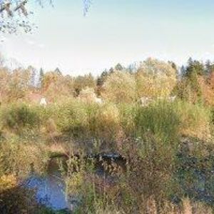 obrazek: avatar BESKYDSKÝ TENISOVÝ KLUB, z.s.