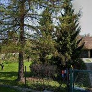 obrazek: avatar VYKOUPIL PAVEL