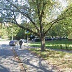 obrazek: avatar SHOTOKAN KARATE KLUB ATTFIS