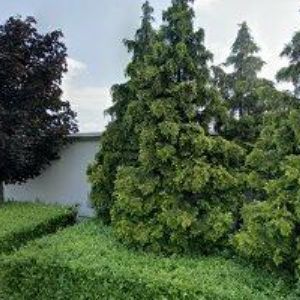 obrazek: avatar TJ SLAVIA Malé Hoštice