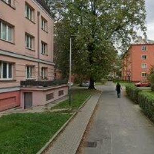 obrazek: avatar ČESKÝ SVAZ WA-TE JITSU DO A BOJOVÝCH UMĚNÍ z.s.