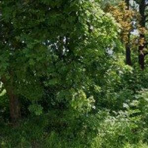 obrazek: avatar TENNIS CLUB