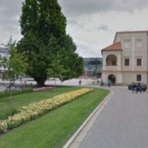 obrazek: avatar ZASTAVÁRNA SPIDER s.r.o.