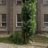 RAUDIKKO BAZAR s.r.o.