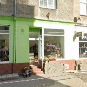 obrazek: avatar RENATO