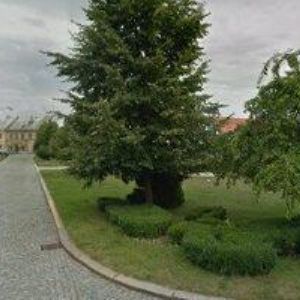 obrazek: avatar TEXTIL POLÁKOVÁ