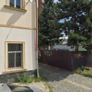 obrazek: avatar STELLA CZ