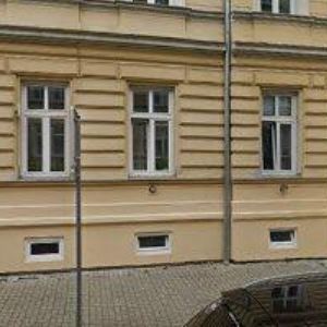 obrazek: avatar OWL DECALS