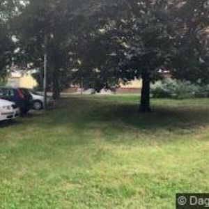 obrazek: avatar FILIP ADOLF-VYBAVENÍ ŠKOLEK