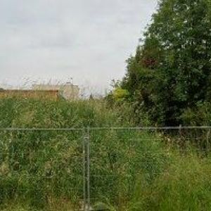 obrazek: avatar AKCES DANCE SHOES