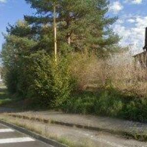 obrazek: avatar NÁBYTEK LION