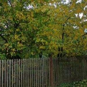 obrazek: avatar KOBERCE PVC KADAŇ