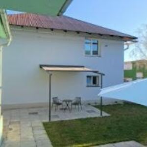 obrazek: avatar NOVÁKOVÁ DANIELA-N STUDIO