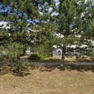 obrazek: avatar M.L.S. HOLICE, spol. s r.o.