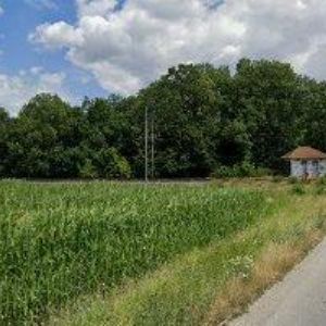 obrazek: avatar PK-ELSYS