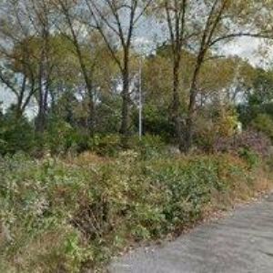 obrazek: avatar ROZVADĚČE ŠAŠINKA s.r.o.