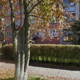 JUHAŠČIK PAVEL-SUNNY-S