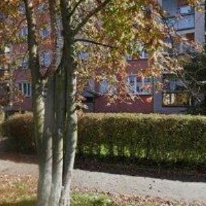 obrazek: avatar JUHAŠČIK PAVEL-SUNNY-S