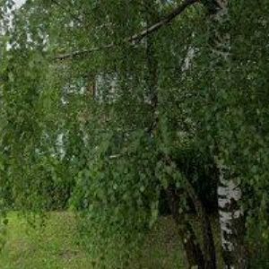 obrazek: avatar M & S ELEKTRO TŘINEC, s.r.o.