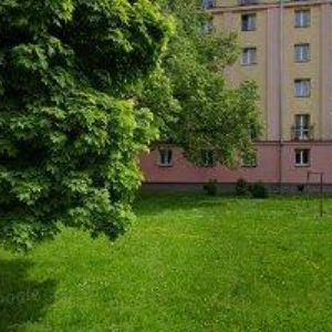 obrazek: avatar ELEKTROTUNER.CZ