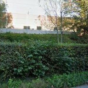 obrazek: avatar MENTZ ELEKTRO-TECH s.r.o.