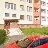 GURECKÝ ROSTISLAV-KOLOIDNÍ STŘÍBRO