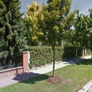 obrazek: avatar ŠVADLENKA MARCI