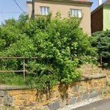 KRÁL JIŘÍ-METROVÝ TEXTIL