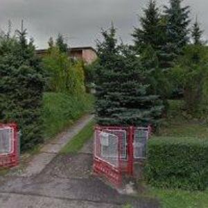 obrazek: avatar RUTAROVÁ DANA