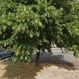 GROWSHOP ZAHRADNICTVÍ