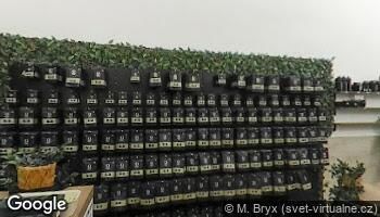 blog-img