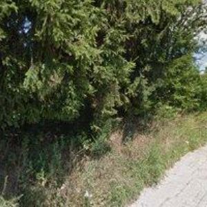 obrazek: avatar CANTECH s.r.o.