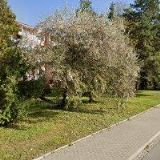 UNZEITIGOVÁ LUDMILA